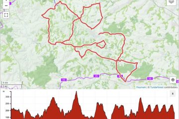 Parcours de la course en ligne